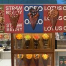 영중로 | [영등포 타임스퀘어 팝업] 홍콩식 버블와플이 먹고싶다면 ‘홍콩다방’ 내돈내산 솔직후기