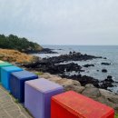 봄🌼 제주도 여행 (도두봉-키세스존/무지개해안도로/조랑말공원/함덕 오드랑베이커리/애경동반 숙소 제주...
