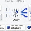 디자인조이 - 제주시 신산마을길 22-1 | 디자인조이