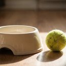 나의작은천사에게 이미지