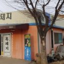 일등돼지 이미지