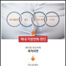 뱃살에 최고!! 비만호르몬 잡는시서스
