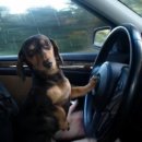 엑스원 휘트니스 | ❣️3월~6월까지 총zip합❣️