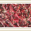 아소농장 이미지