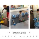 운동하는코끼리 이미지
