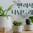 봉계공설시장 이미지