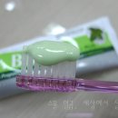 닥터브라이트