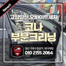 탑크리닝 | 고양일산 실내 부분 크리닝 오바이트세차 작업 후기