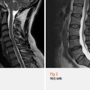 콕마취통증의학과의원 이미지