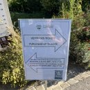 모네의 정원 | 파리근교 지베르니 모네의 정원 현장 티켓 구매, 웨이팅 등 후기