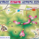 2008년4월13일 정기산행 전남여수 영취산(진달래 축제) 이미지