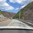 의성 안평의 산불확산으로 청송 영덕의 피해 모습 3 이미지