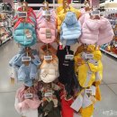 몰리스펫샵 풍산점 이미지