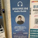 팀에이치알 | 부산 전시 추천｜꽃과 색채가 가득했던 시간, 미셸 앙리 《위대한 컬러리스트》 관람 후기