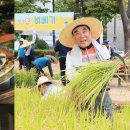 제이디엑스용인