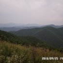 인평 이미지