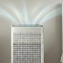 스카이한방병원 | 환절기 삶의 질 상승템! 경희대한방병원 비염 캔디 &amp; 기관지 영양제 솔직 후기 (통비단/청비고/청인유쾌환)