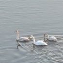 박씨축산 이미지