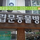 독립문동물병원 이미지