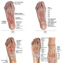 더 케이 짐 이미지