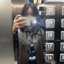 취준핑의 취준일기 42편 | 한 달 가량의 보조영양사 후기