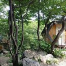 구재봉자연휴양림 이미지