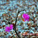 진안읍 1337 이미지