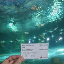 [경기 부천] 부천 실내 데이트 추천, 플레이아쿠아리움 인어공주쇼 후기🐠