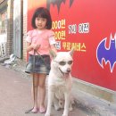 꼬맹이 이미지