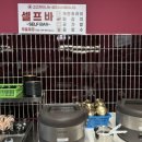 고고차이나 이미지