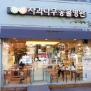사과나무 동물병원 이미지