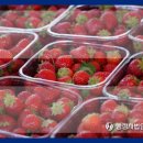 과반농장 이미지