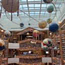 세곡목장 | 필드, 언니가 숨겨놓은 과자상자, 5500원 기계 우동, 세곡 한우, 오씨오씨커피로스터스, 양재 하나로 마트