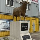 강원도 횡성군 횡성읍 태기로19번길 이미지