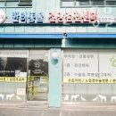 굿파파 24시 반려동물건강검진센터 이미지