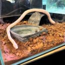 에비뉴142 | 아이와 가볼 만한 경기도 실내 카페 추천 물고기 체험까지 가능한 수풀림 아쿠아카페 구리갈매점