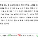 강원특별자치도 삼척시 중학교 2학년 진로캠프 (2) 글로벌인재개발연구원 이미지