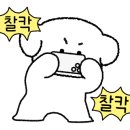 방배로 181 이미지