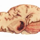 곽재혁신경과의원 이미지
