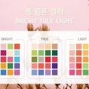 컬러;봄