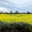 낙천리장 이미지