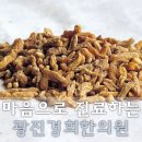 광진기전 이미지