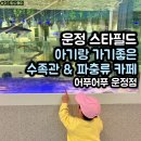 존엔존피시카페 | 파주 운정 스타필드 빌리지 수족관 카페 어푸어푸 아기랑 나들이 먹이주기 체험 후기