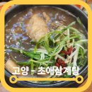 원당삼계탕 고양 초애삼계탕 산삼배양근더덕튀김 솔직후기
