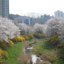 당진시 대덕1로2길 이미지