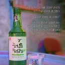 보문약국 | [5월일상] 경주 여행ㅣ짝꿍생일 ㅣ 코오롱캠핑파크| 모알보알 다이빙| 청와대