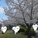 소몽 | 여의도 벚꽃축제 맛집 추천 🌸 소몽 후기 (+웨이팅, 메뉴, 솔직리뷰)