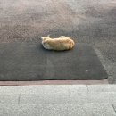 한길요양병원 | 내가 블로그를 하는 이유