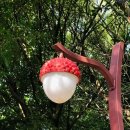 우의중국식품 | 리치 과일 가로등 도시 생활미학 중국어뉴스로 중국어공부