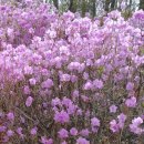 효성안양공장 앞 이미지